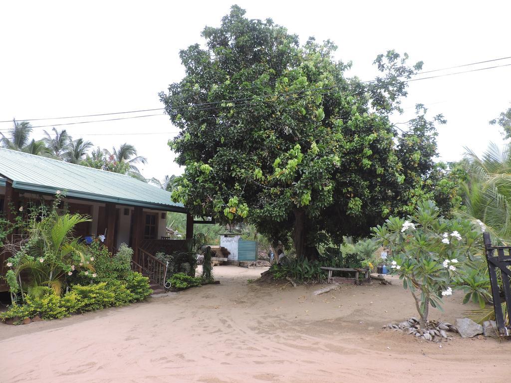 Coco Bay - Arugam Bay Hotel Exterior foto